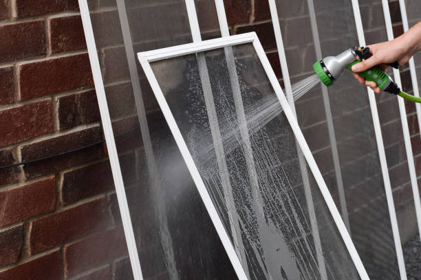 Window Cleaning: What to Expect From a Professional Service