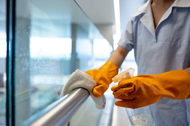 DIY vs. Professional Window Cleaning: What’s the Difference?